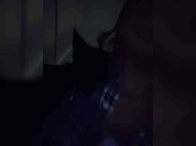 Sophie_Sonne