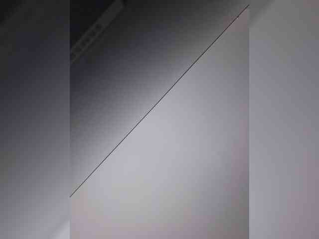 Sophie_Sonne