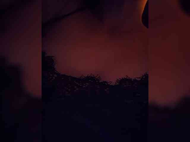 Sophie_Sonne webcam