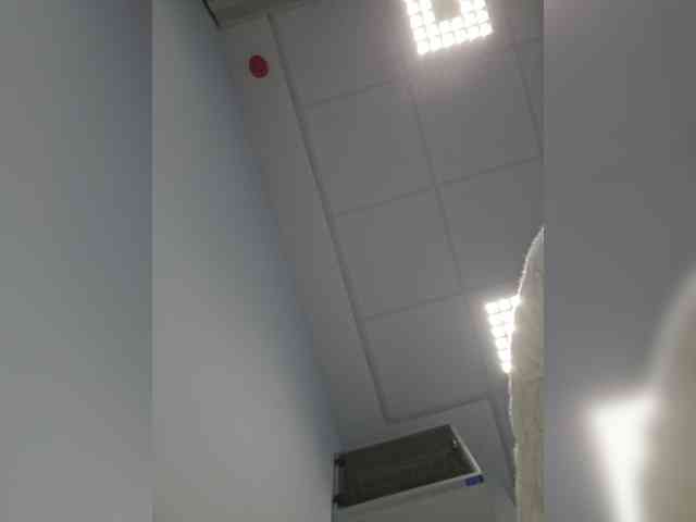Sophie_Sonne webcam