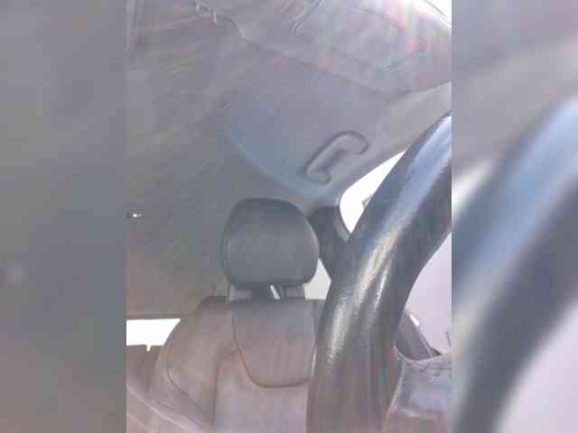 Sophie_Sonne webcam