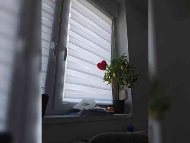 Sophie_Sonne