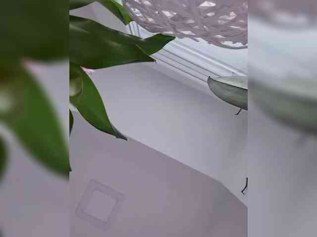 Sophie_Sonne
