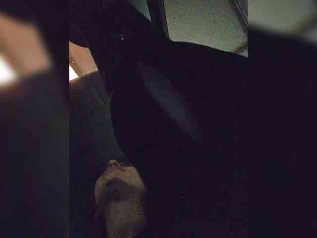 Sophie_Sonne webcam
