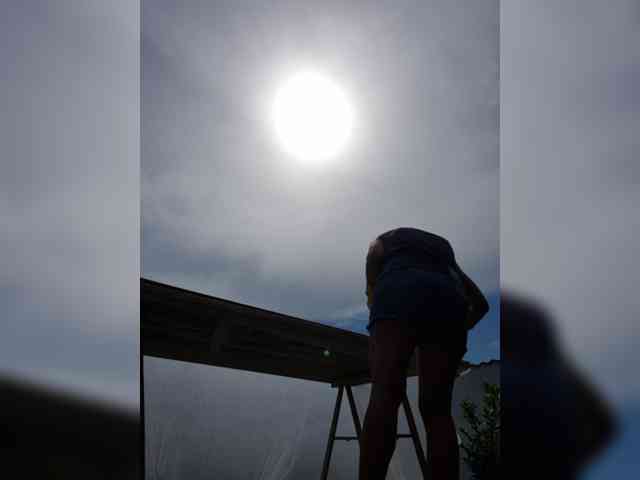 Sophie_Sonne webcam
