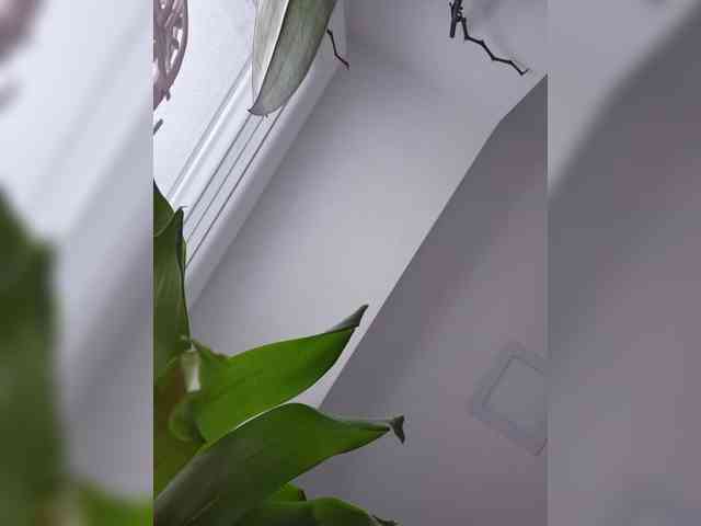 Sophie_Sonne webcam