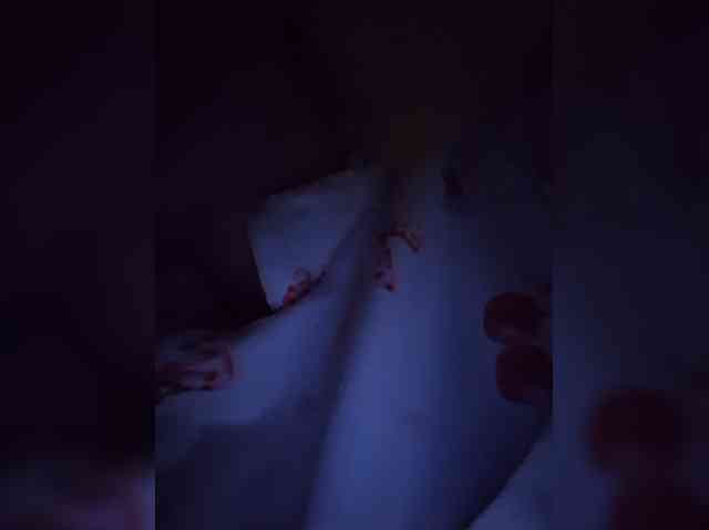 Sophie_Sonne