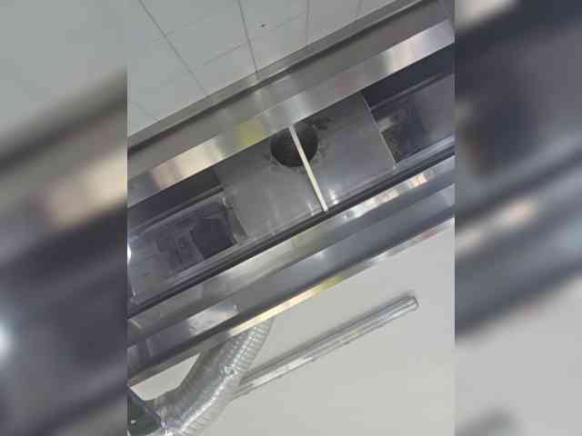 Sophie_Sonne