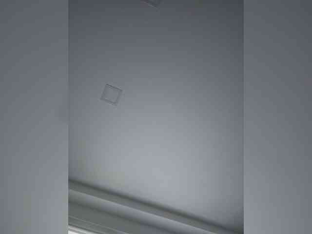 Sophie_Sonne