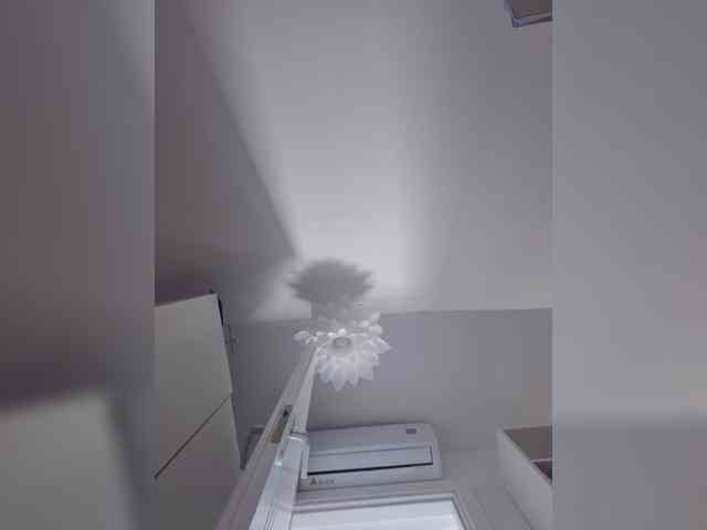 Sophie_Sonne webcam