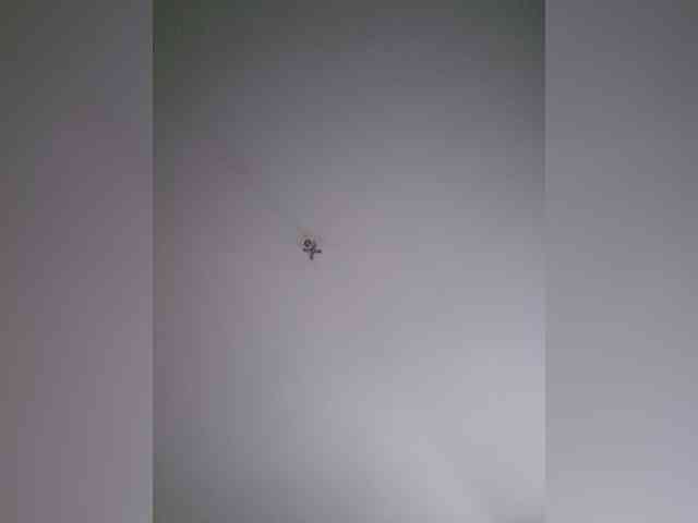 Model: Sophie_Sonne