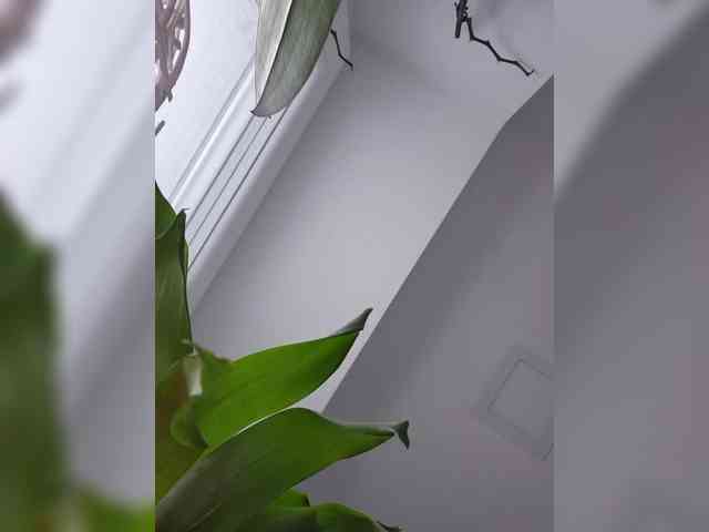 Sophie_Sonne webcam