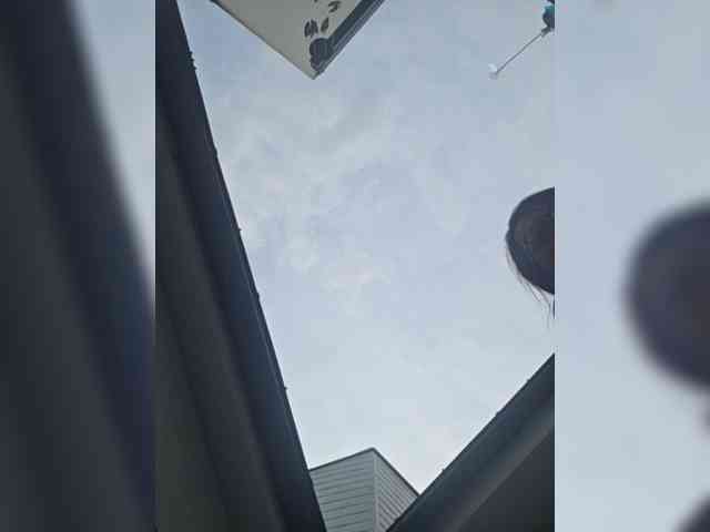 Sophie_Sonne webcam