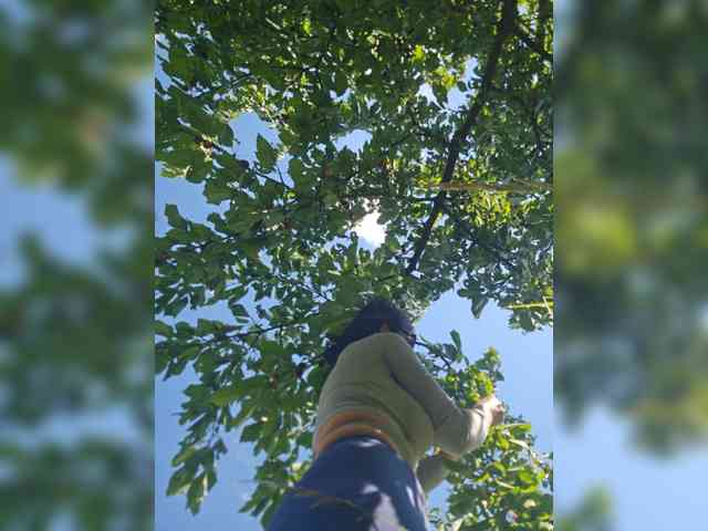Sophie_Sonne webcam