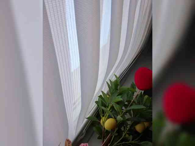 Sophie_Sonne webcam