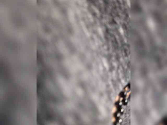 Sophie_Sonne webcam