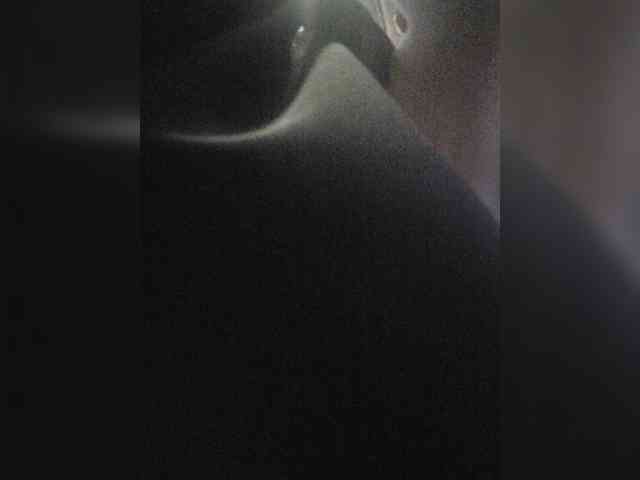 Sophie_Sonne webcam