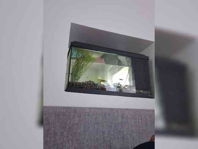 Sophie_Sonne webcam