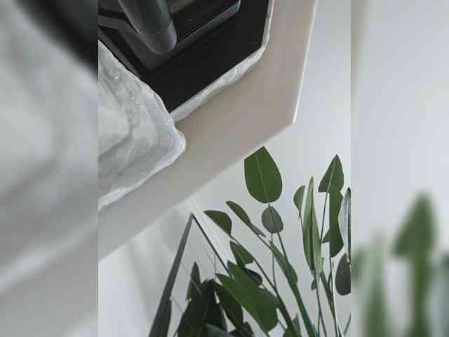 Sophie_Sonne webcam