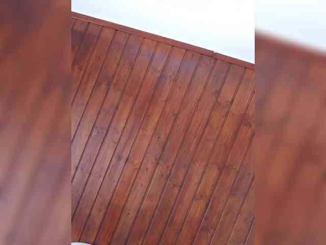 Sophie_Sonne webcam