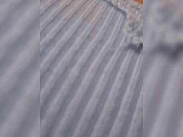 Sophie_Sonne webcam