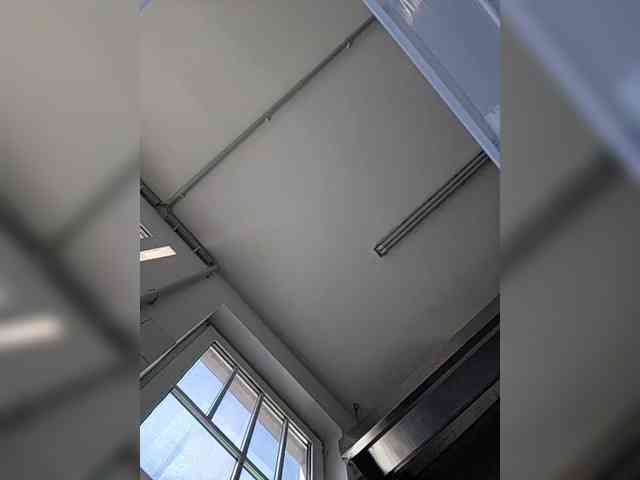 Sophie_Sonne