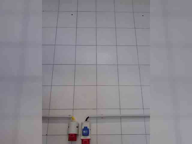 Sophie_Sonne webcam