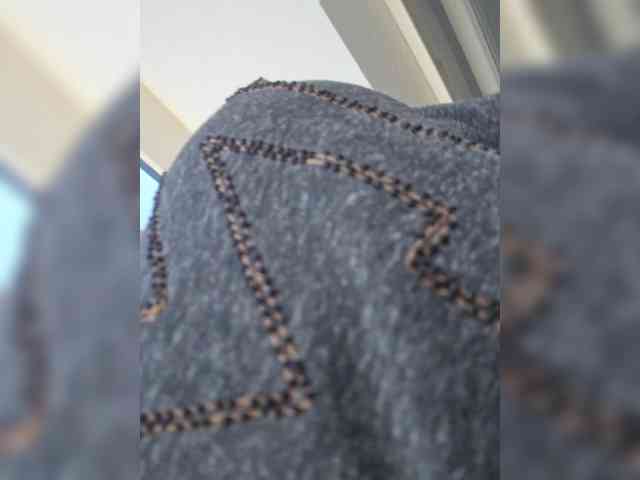 Sophie_Sonne webcam