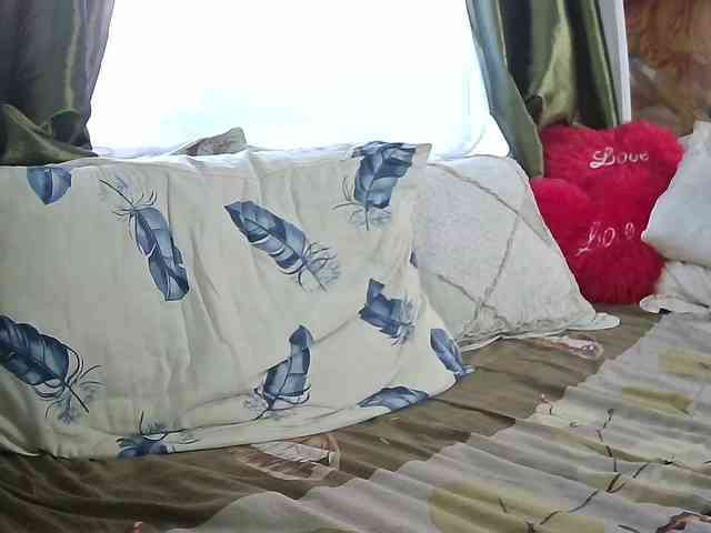 Aktriska webcam