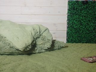 alex_is Porn Show