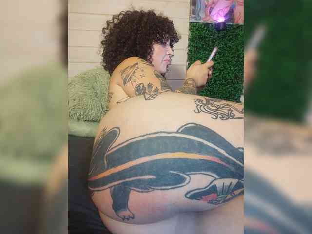 Alex_is's cam show statistics and live stream