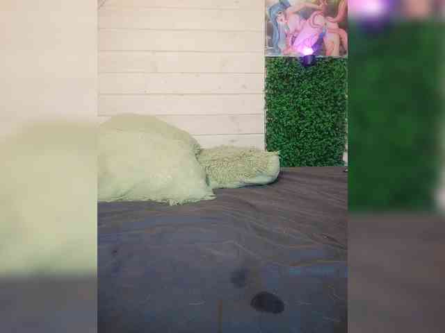alex_is webcam
