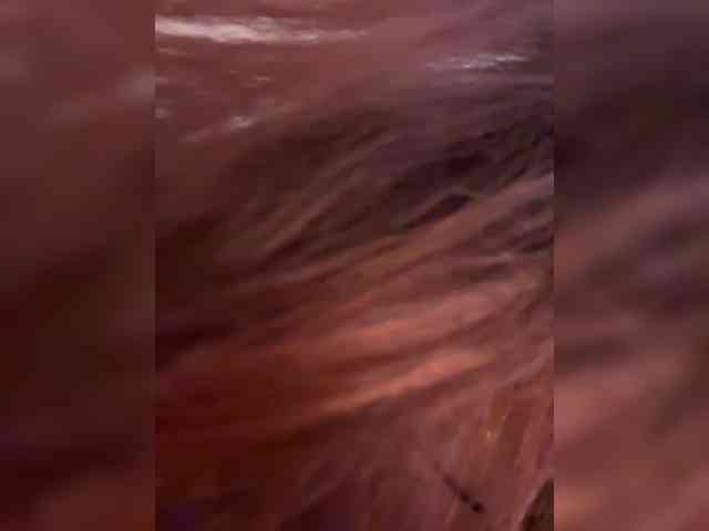 SHAWTY420 webcam