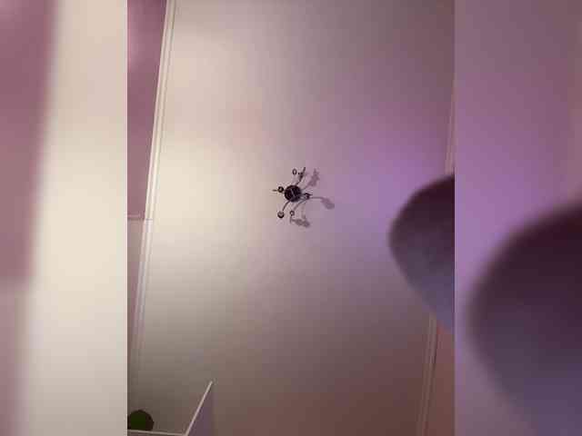 SHAWTY420 webcam