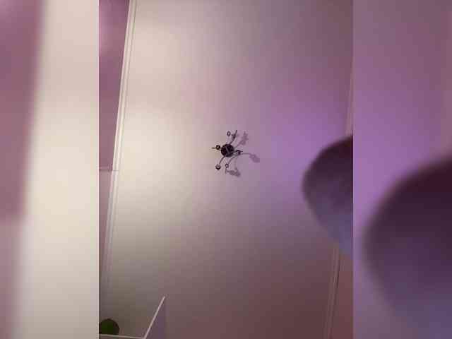 SHAWTY420 webcam