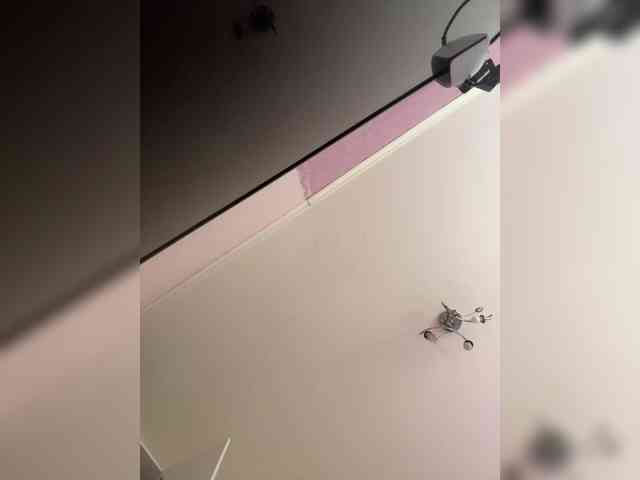 SHAWTY420 webcam