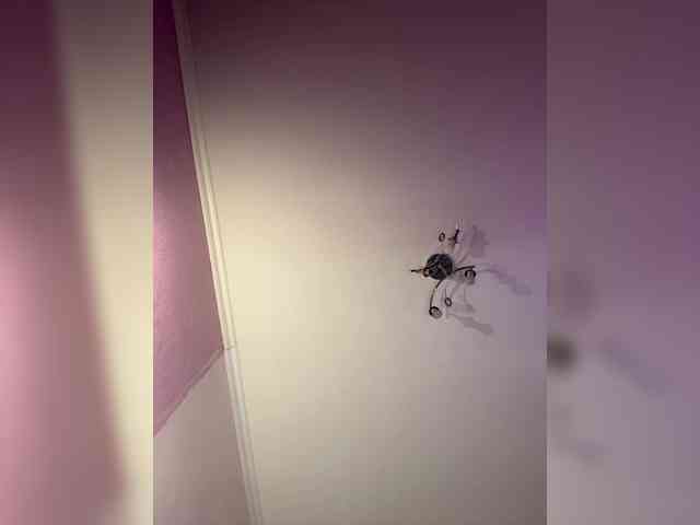 SHAWTY420 webcam