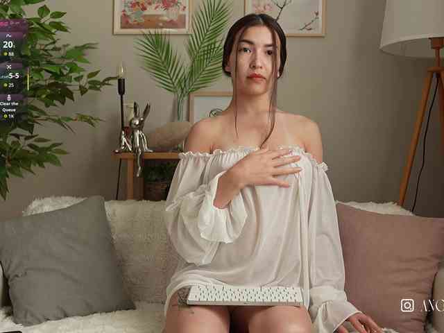 Holly-bunny webcam