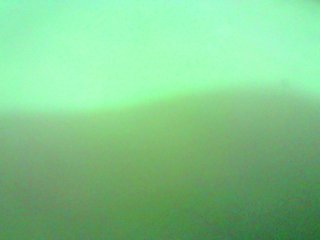 Celestee-1