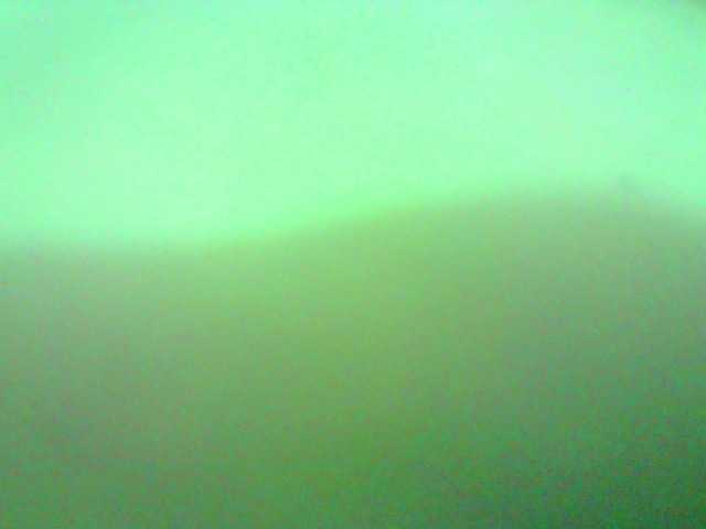 Celestee-1