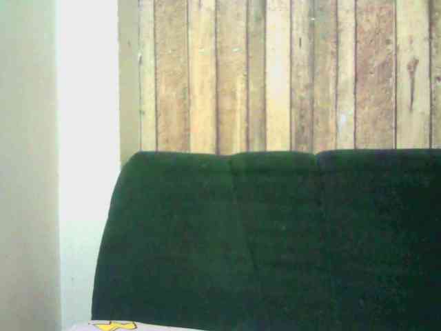 Celestee-1 webcam