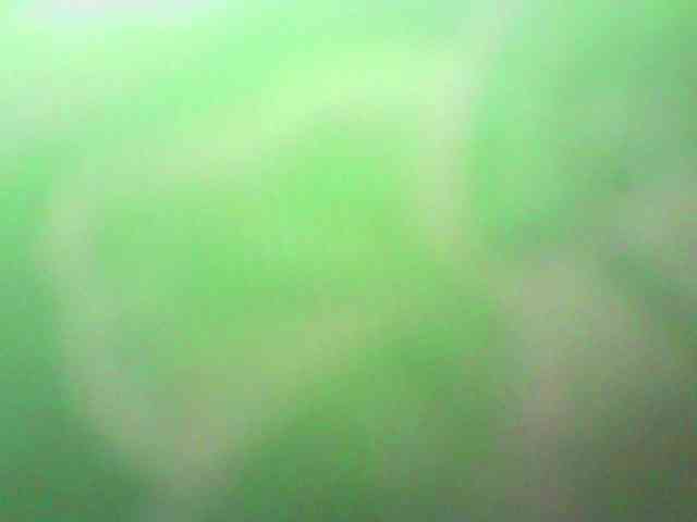 Celestee-1 webcam