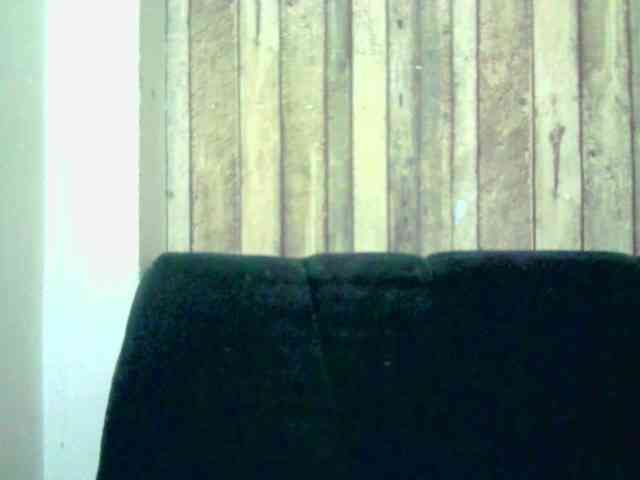 Celestee-1 webcam