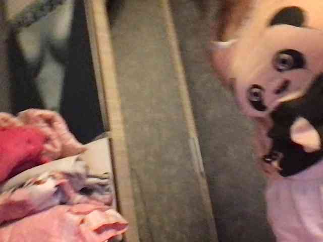 FunyandCrazyU webcam