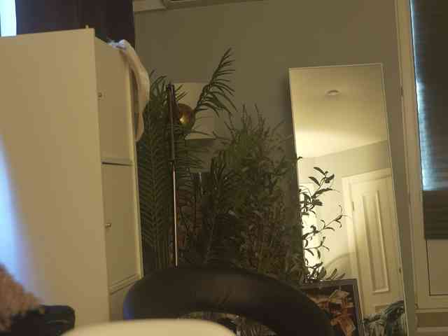 Mypassion_ webcam