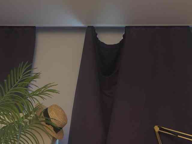 Mypassion_ webcam