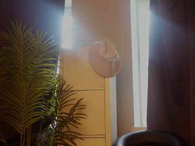 Mypassion_ webcam