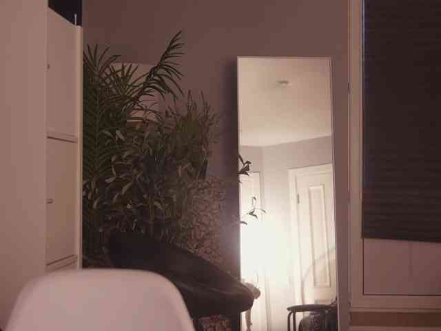 Mypassion_ webcam
