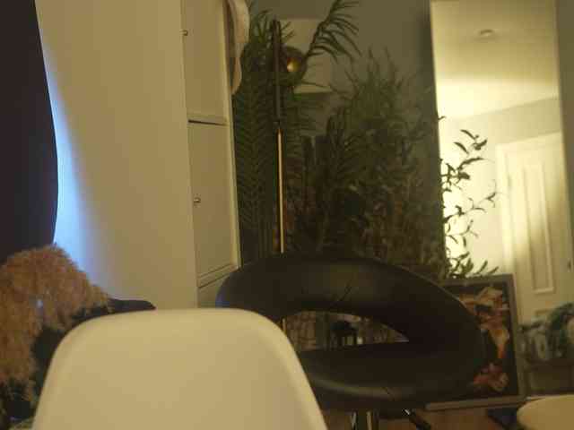 Mypassion_ webcam