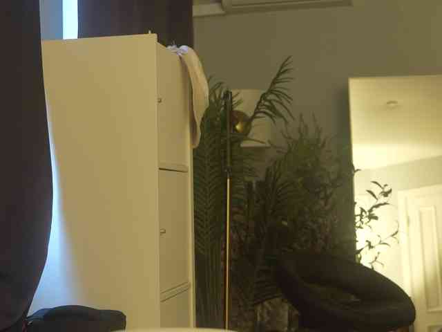 Mypassion_ webcam